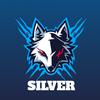$ilv£r - @leosilver09 - TikTok