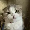 Camila Ignacia Torrejón - @leopardoslack - TikTok