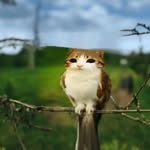 @leo_stantonn - Instagram