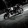 M1n1k1ngp1n - @leostanton8 - TikTok