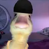 leo - @leostephens14 - TikTok