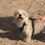 Leo Stern - @hey_leo._ - Instagram