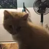 leoric stratton - @leoric.stratton - TikTok