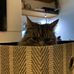 Leo RJ Strickland - Facebook