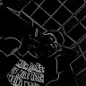 Leo Strunk - @leostrunk6 - TikTok