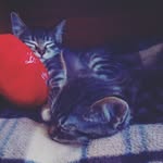 Leo_TeagueOffical - @leo_teagueoffi - Instagram