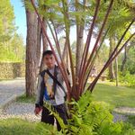 Leo Tobing - @leotobing123 - Instagram