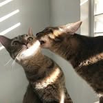 leo & tyo - @leotyo11 - Instagram