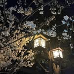 Данил - @leotyocry - Instagram