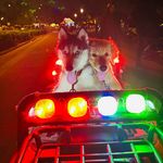 Leo tyson - @doseofhappiness12 - Instagram