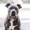 Leo Younger - @leo.younger - TikTok