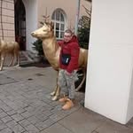 Leo Utz - @leoutz25 - Instagram
