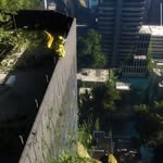 Leo utz - @leo_utz64 - Instagram