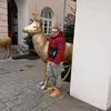 Leo Utz - @leo.utz23 - TikTok