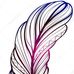 Leo Varela alanis - Facebook