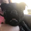 LEO WADE - @loser.leo.mixed - TikTok