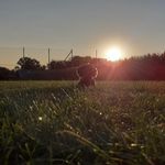Leo Waldmann - @leo_waldmann - Instagram