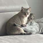 홍중사랑 레오랑 월E랑 - @hong.leo.wall_e - Instagram