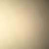 Leo Wall - @leo_wall134 - TikTok