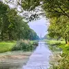 Leo Wessels - @leo.wessels4 - TikTok