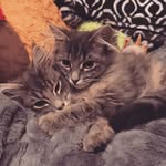 leo & whitney😽 - @leo_whitney - Instagram