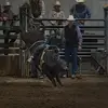 Leo Whitney - @leo.whitney07 - TikTok
