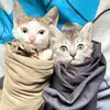 leoandwhitney - @leoandwhitney - TikTok