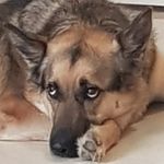 Leo Williamson - @williamson.leo99 - Instagram
