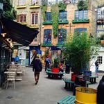 Léo Wolff - @wolffsdc - Instagram