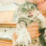 Leo yeager - @leo_yeagerist - Instagram