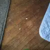 Leo Yeager - @leoyeager - TikTok