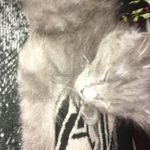 Leo - @leoyost1234 - Instagram