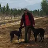 Leodan Diaz - @leo.diaz1396 - TikTok