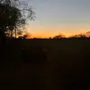 leolacole - @leolacole - TikTok