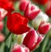 Leola Reed - Facebook
