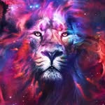 León Alcala - @leonalcala99 - Instagram
