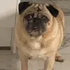 Leo Nash - @leo.nash7 - TikTok