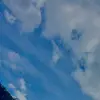 Leon - @leon_avery - TikTok
