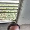 Leon Bain - @leon.bain4 - TikTok