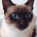 Leon Bartholomew - @leon_bartholomew1 - Instagram