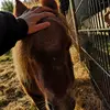 LeonBattle12 - @leonbattle12 - TikTok