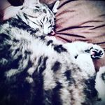 Leon Berk - @leon.579_ - Instagram