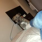 Leon Bernard - @leon.bernard.589 - Instagram