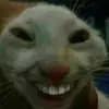 Leon Bernard - @leonbernard_0 - TikTok