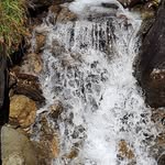 Leonhard Bernstein - @bernsteinleonhard - Instagram