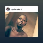 Leonberry beryl - @leonberryber - Instagram