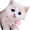 زهراء - @leon.bertrand - TikTok
