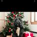 Leona Bingham - Facebook