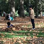 Leon Bishop - @leebish0p - Instagram