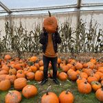 Leon Blake - @blakes4479 - Instagram